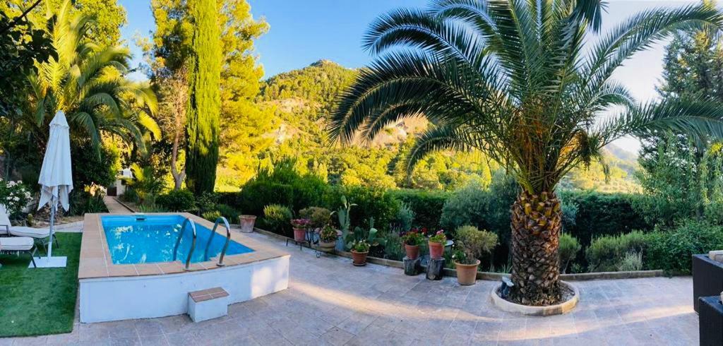 Nueva Cazorla Mirador Cerro Del Escribano Villa La Iruela Kültér fotó